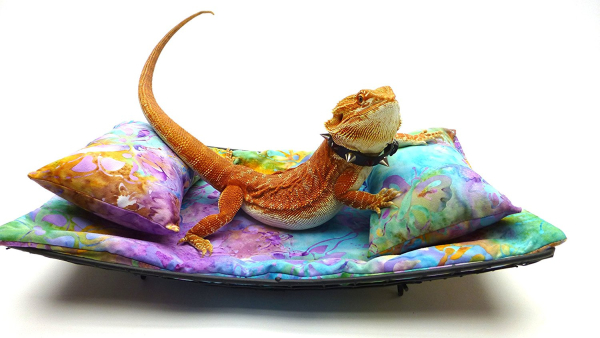 Chaise Lounge for Bearded Dragons, Watercolor Flowers fabric