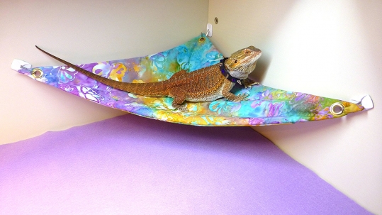Hammock for Bearded Dragons, Watercolor Flowers fabric with suction cup hooks