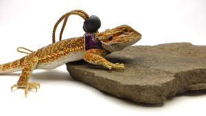 Ogle Lizard Leash, Limited Edition Purple Scales